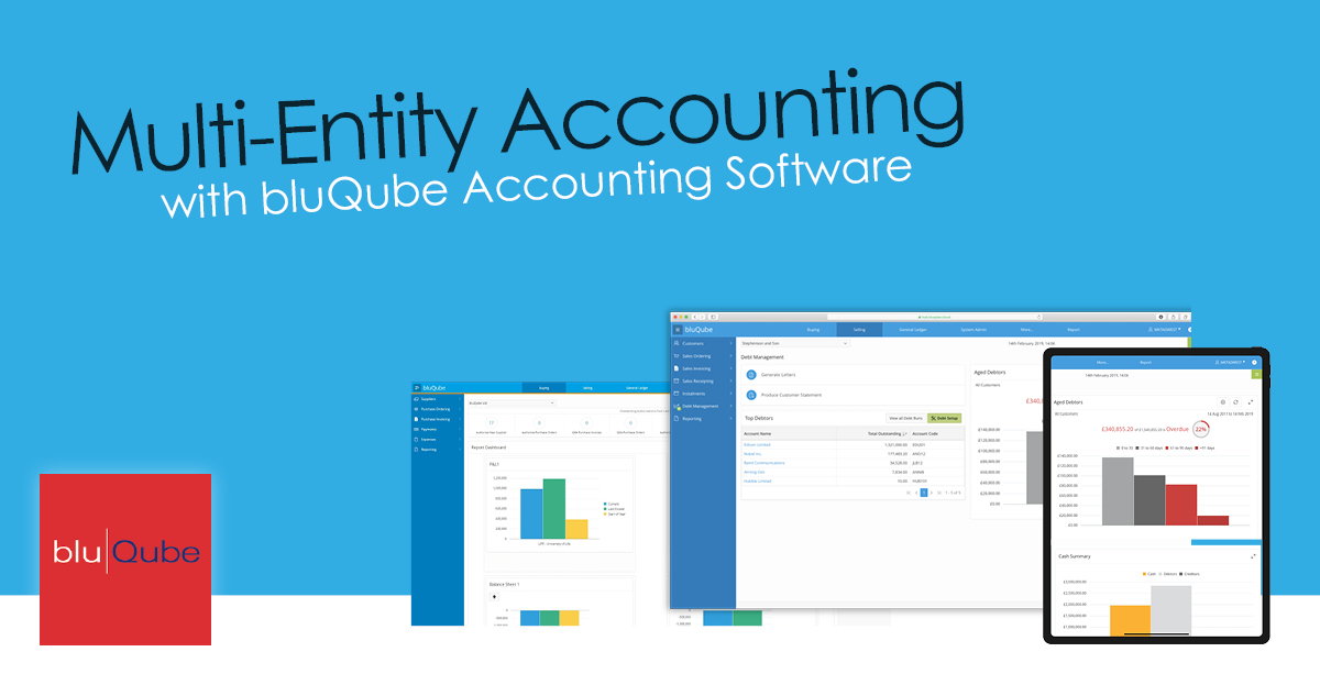 multi-entity-accounting-with-bluqube